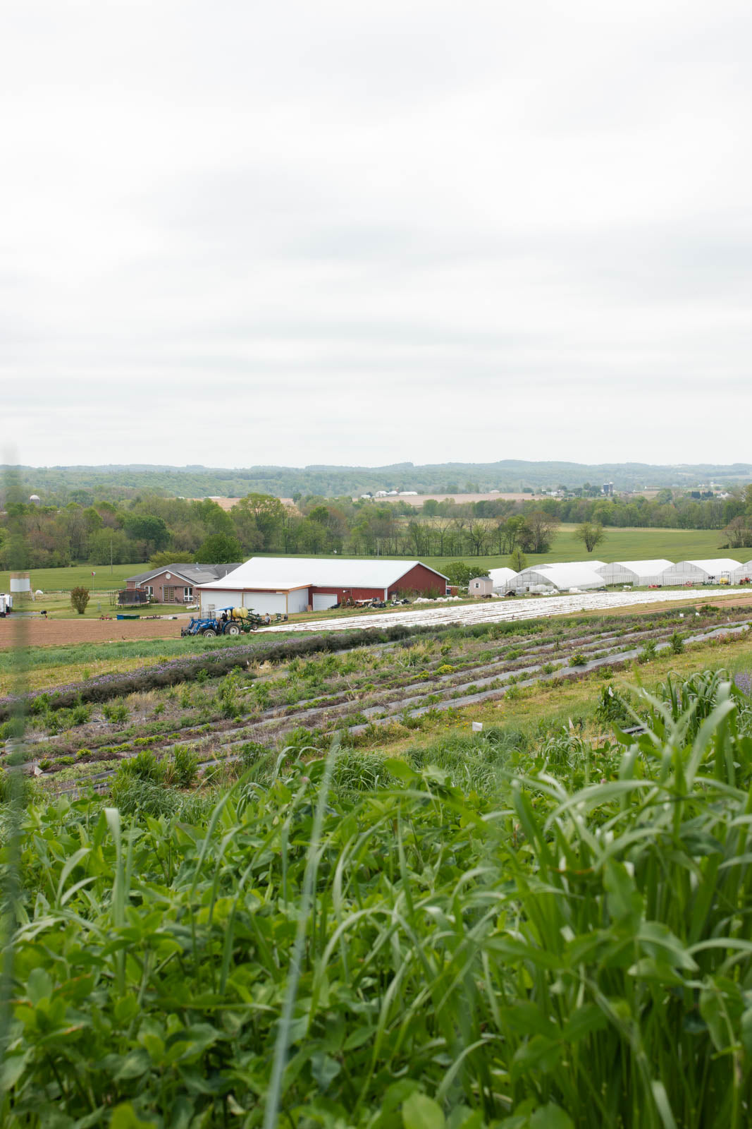 V+B team and partners