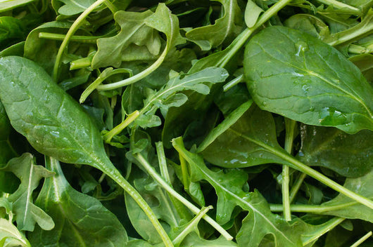 Compostable meal containers