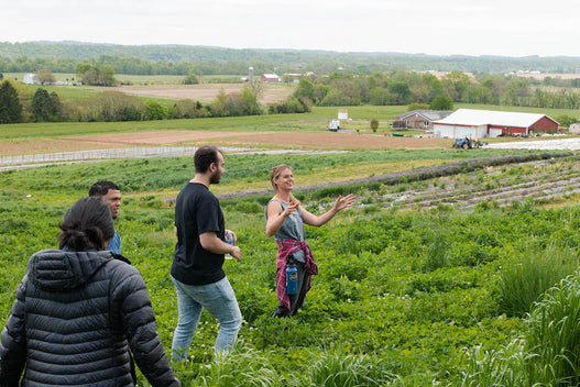 Fresh local produce sourcing